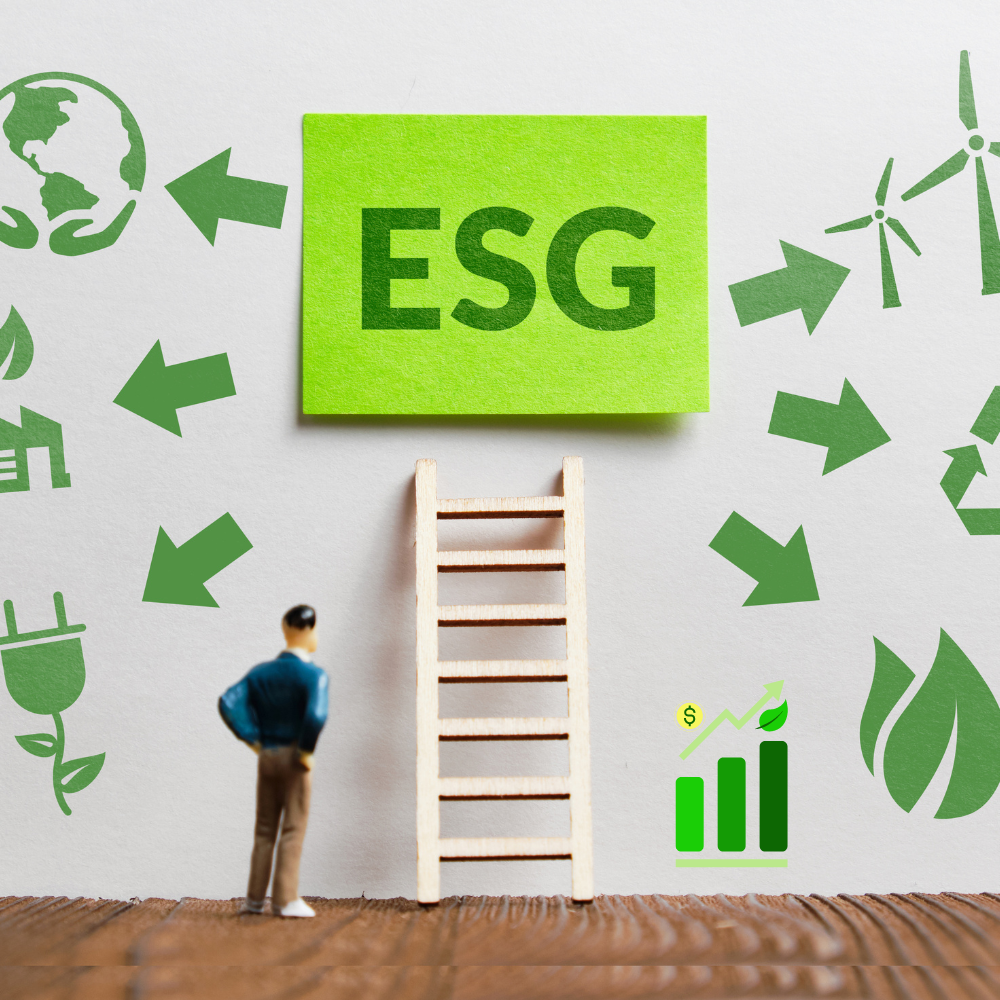 What is ESG